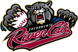 Sacramento River Cats Bag Storage